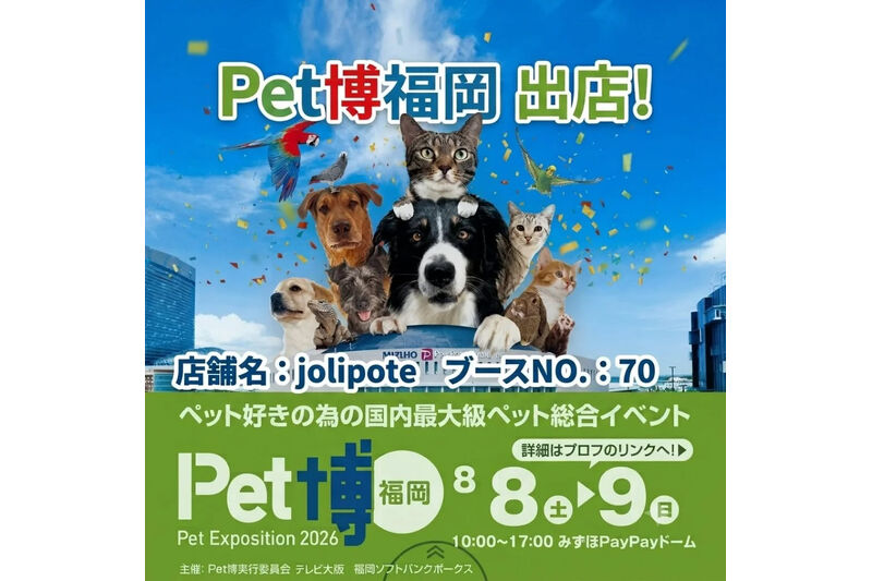 画像16661