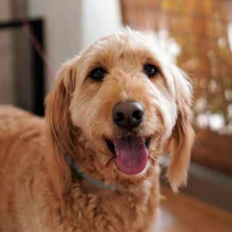 画像16727