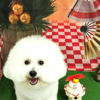 画像2077