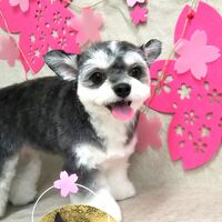 画像2181