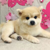 画像2189