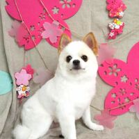 画像2223