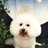 画像2497