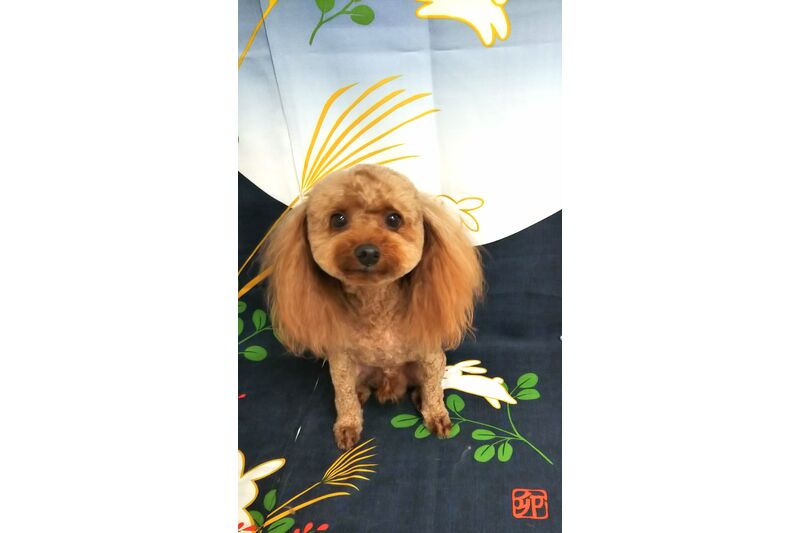 画像2501