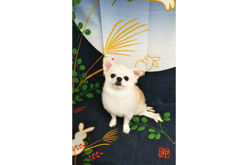 画像2505