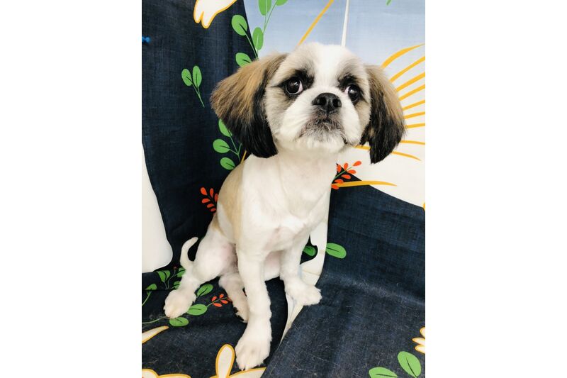 画像2519