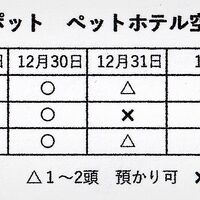 画像2671
