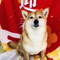 画像2709