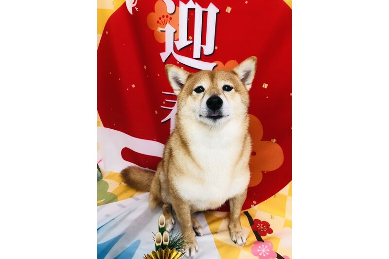画像2709