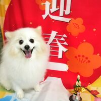 画像2715