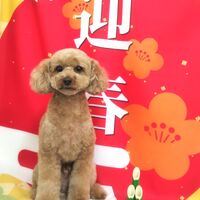 画像2717