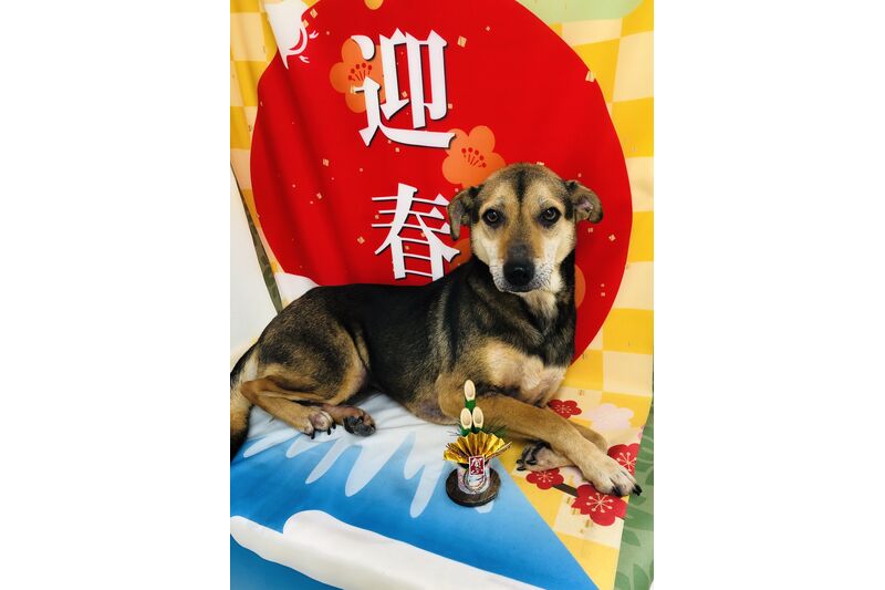 画像2721