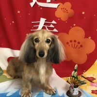 画像2723