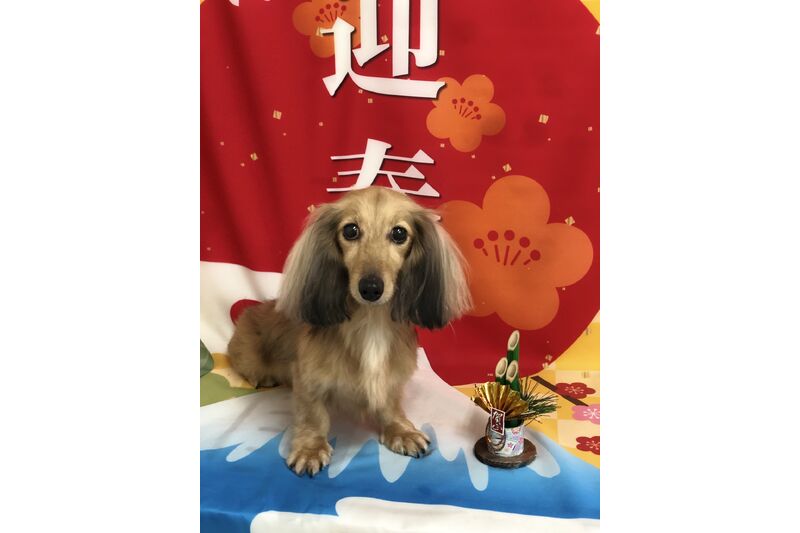 画像2723