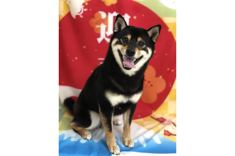 画像2739