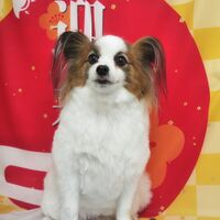 画像2745