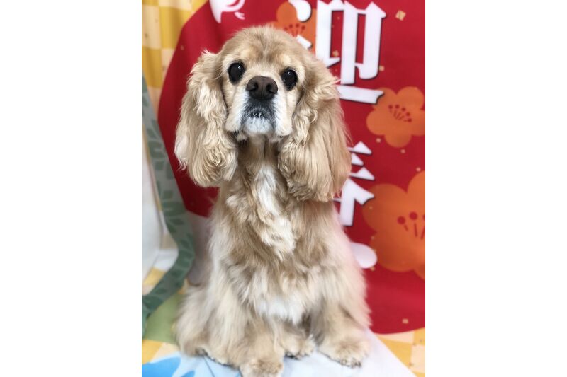 画像2747