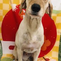 画像2753