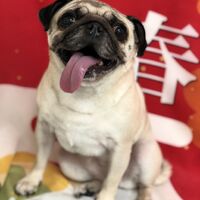 画像2759