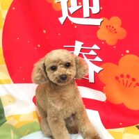 画像2763