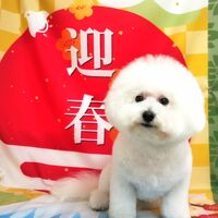 画像2779