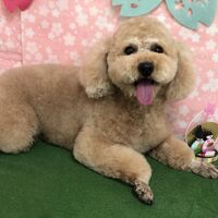 画像2877