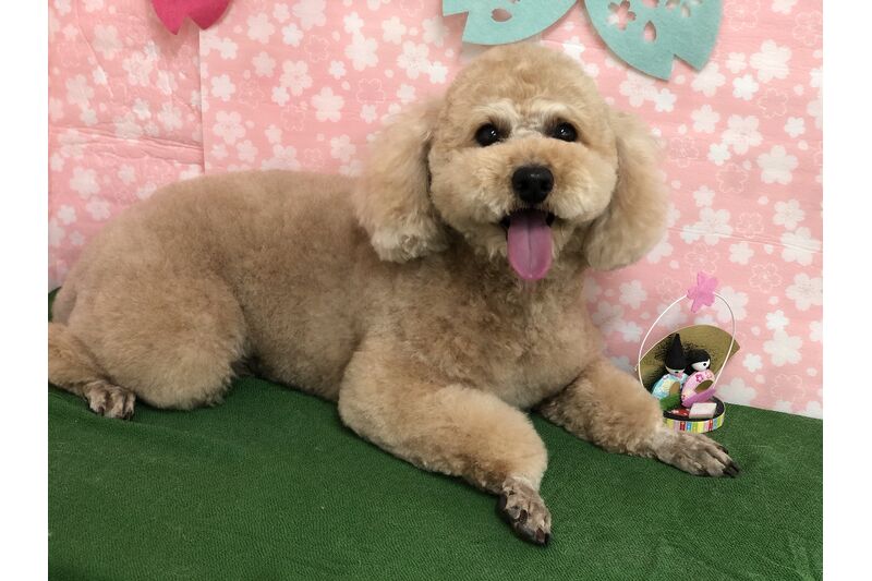 画像2877