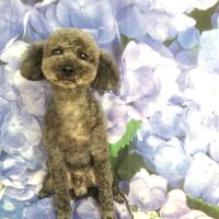 画像3101