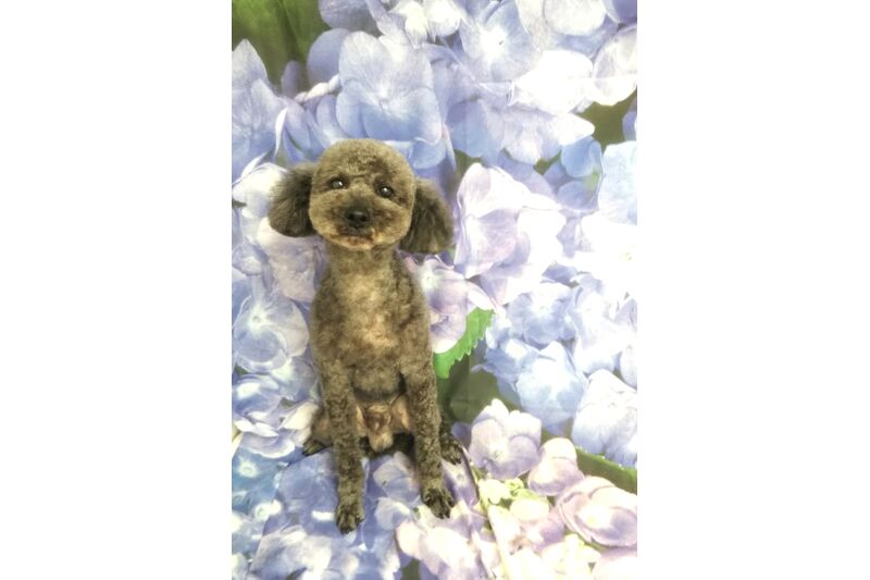 画像3101