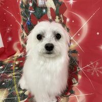 画像3421