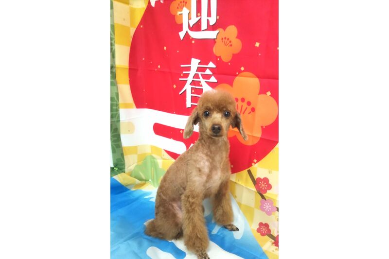 画像3431