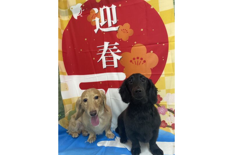 画像3433