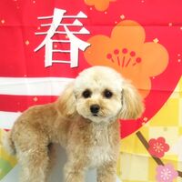 画像3437