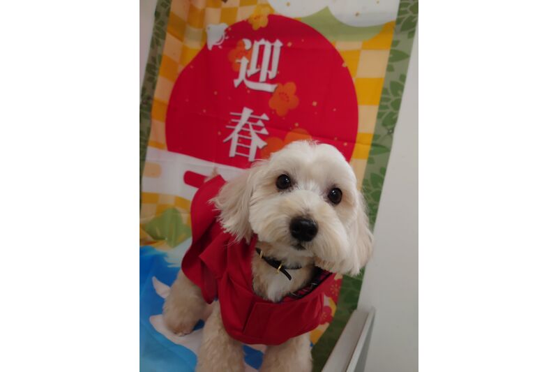 画像3447