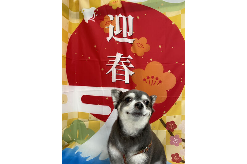 画像3449