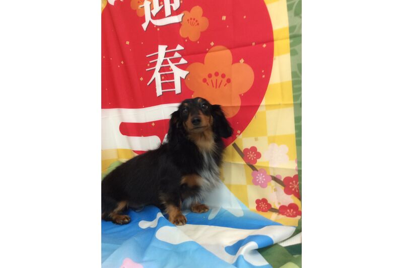 画像3453