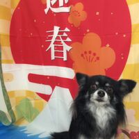 画像3463