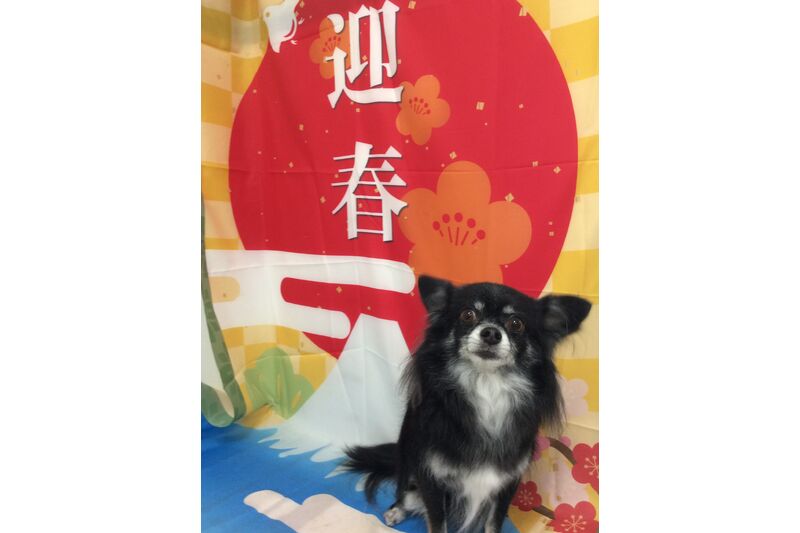 画像3463