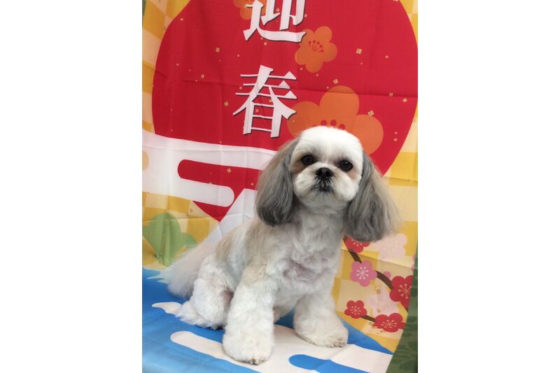 画像3467