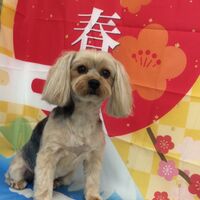 画像3473
