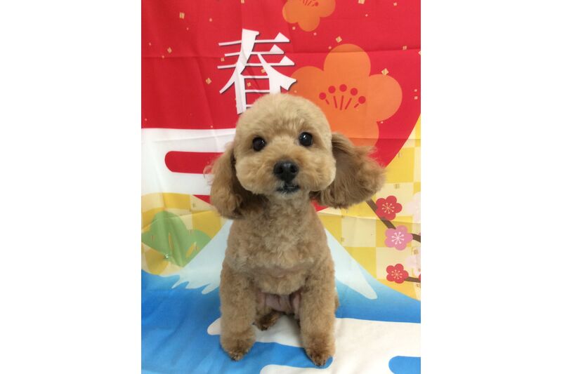 画像3475