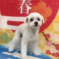 画像3481
