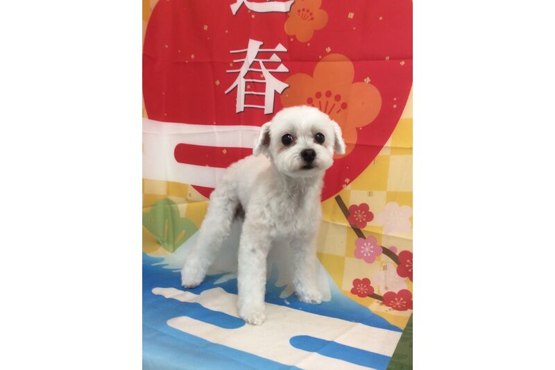 画像3481