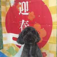 画像3485