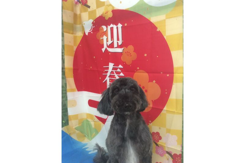 画像3485