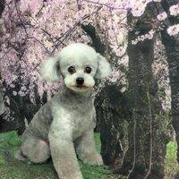 画像4249