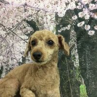 画像4269