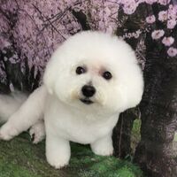 画像4273