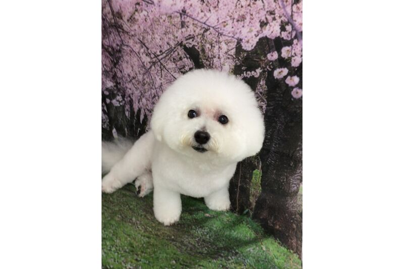 画像4273