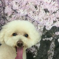 画像4275